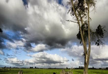 KAIYUN：活塞成为NBA历史首支胜场数是上赛季3倍的球队 本赛季胜率50%+.