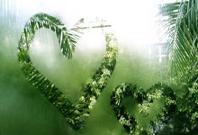 [国际足球]“巴西双星”闪耀 新月不思内马尔.